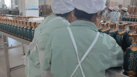 ˮGIF.gif