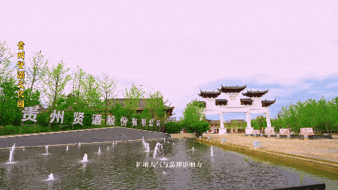 ׯڲ.gif